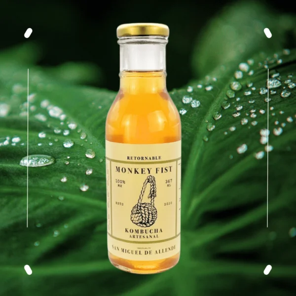 Kombucha Sabor Natural - 4.5 Litros - Image 2